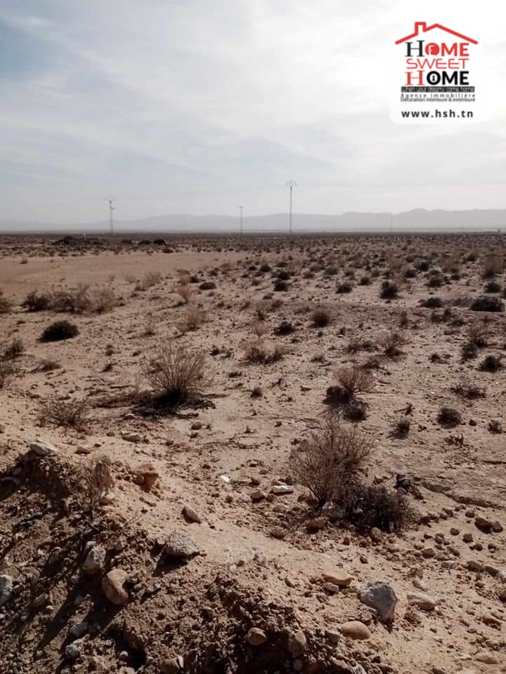 Gafsa Nord Echabiba Terrain Terrain nu Terrain agricole pistachio  gafsa
