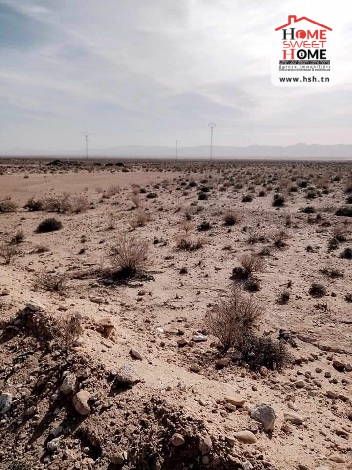 Gafsa Nord Echabiba Terrain Terrain nu Terrain agricole pistachio  gafsa