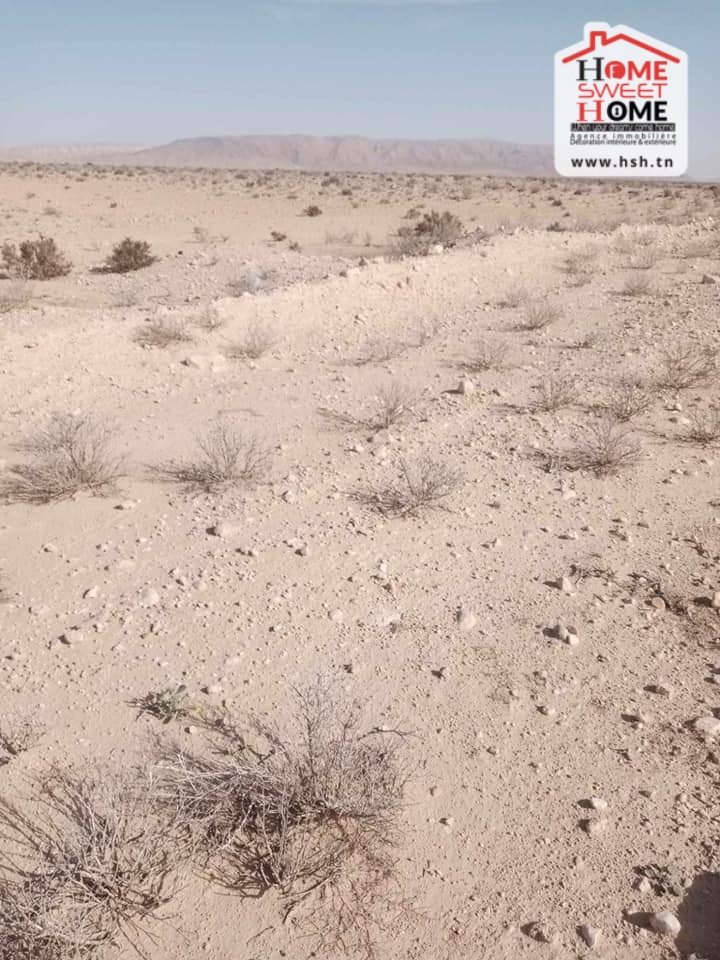 Gafsa Nord Echabiba Terrain Terrain nu Terrain agricole pistachio  gafsa