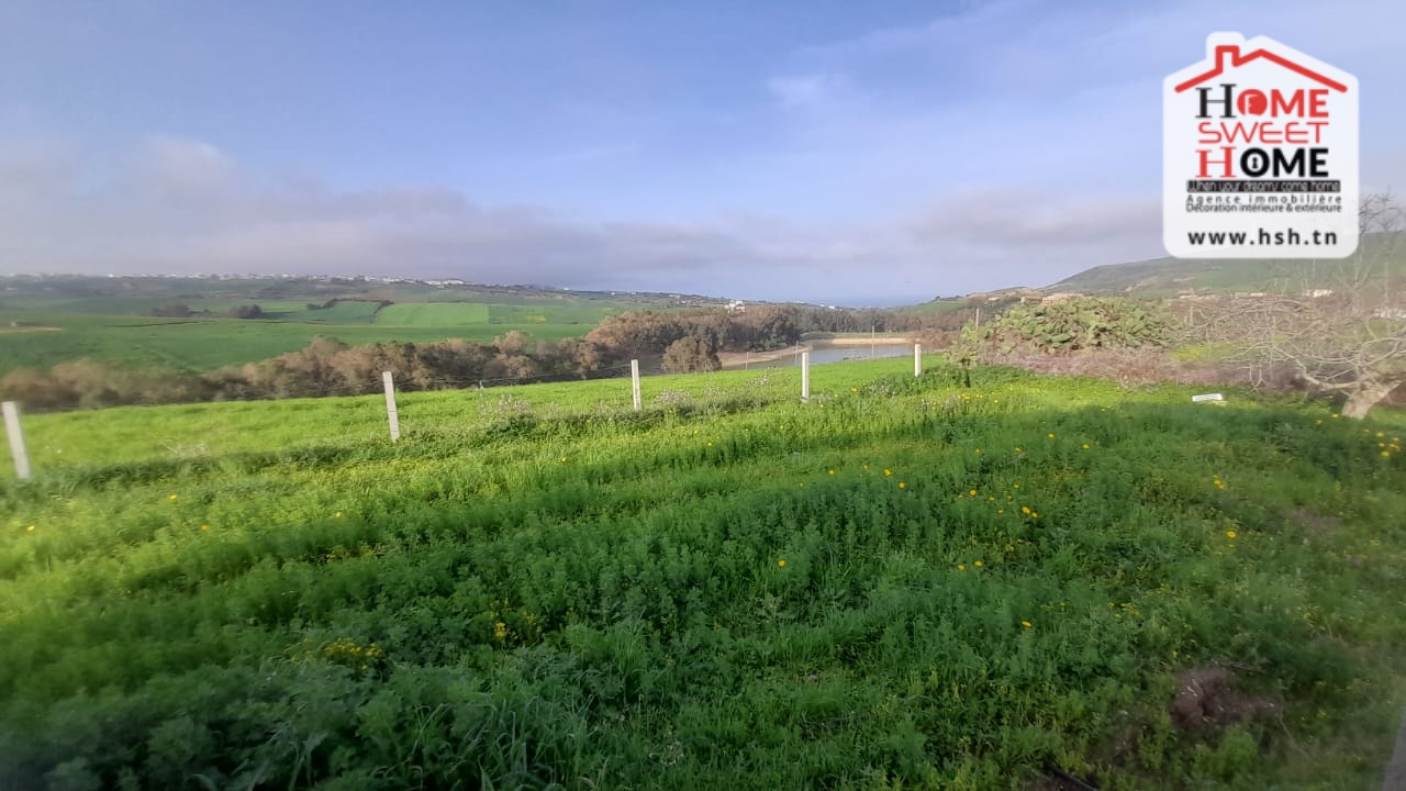 Ras Jebel Beni Atta Terrain Terrain nu Terrain agricole danny  ras jbal bizerte