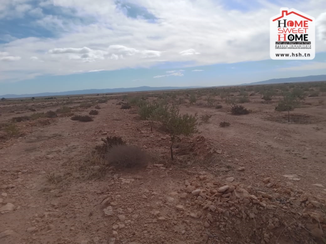 Sidi Aich Sidi Aich Terrain Terrain nu Terrain agricole adan  sidi aich