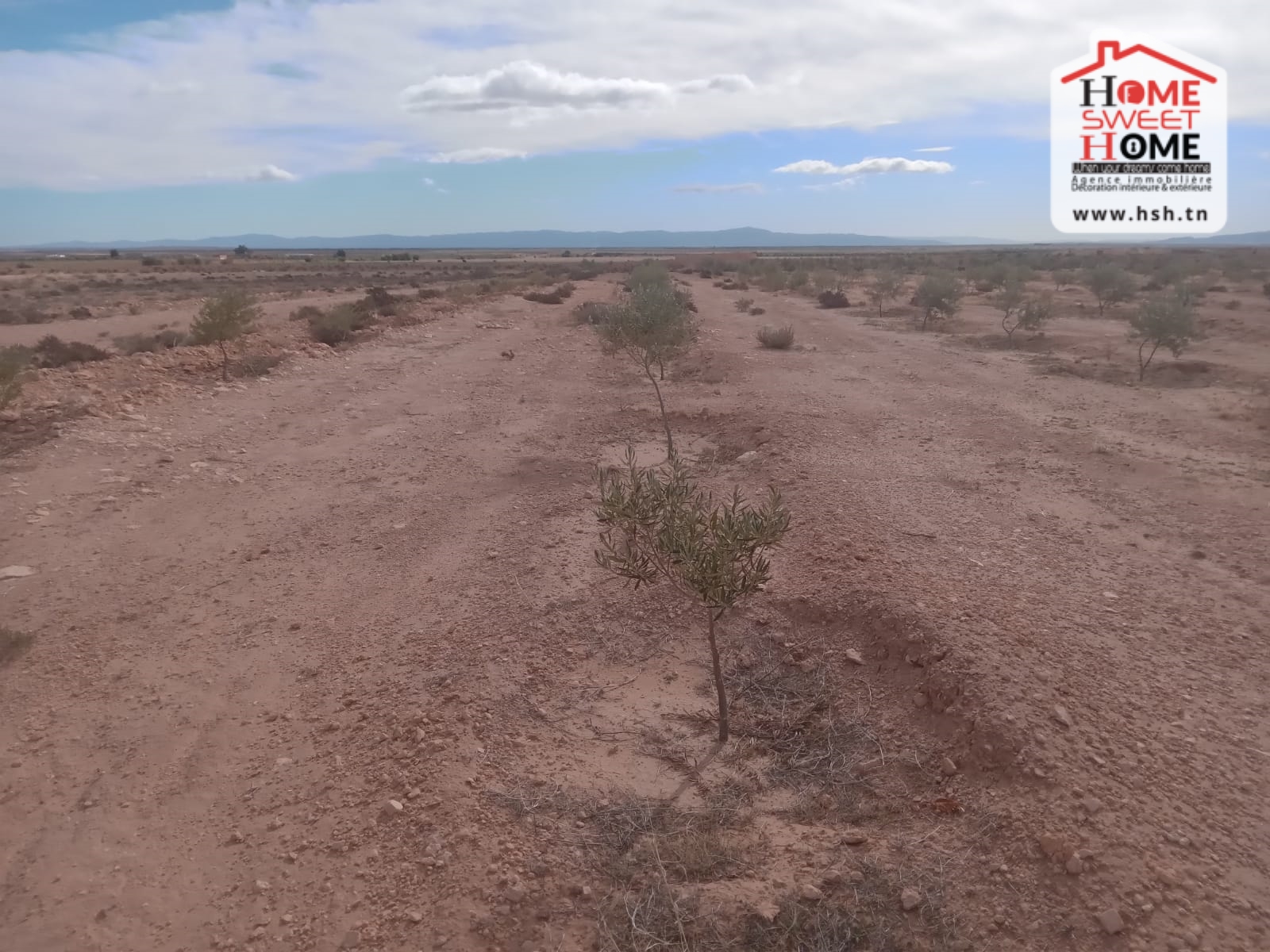 Sidi Aich Sidi Aich Terrain Terrain nu Terrain agricole adan  sidi aich
