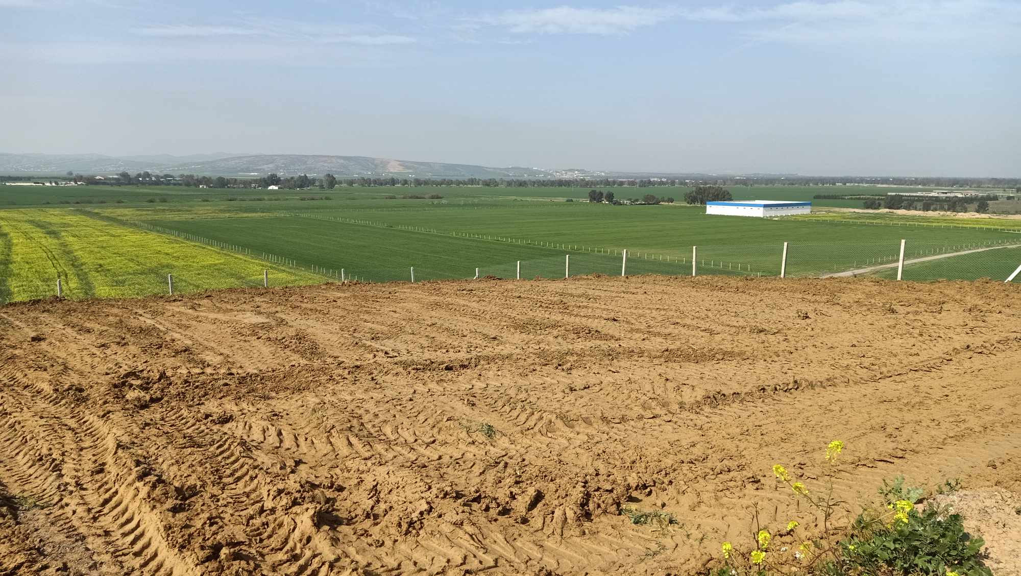 Sidi Thabet Cebalet Ben Ammar Terrain Terrain agricole Terrain agricole sidi thabet