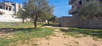 Hammamet Chaabet El Mrezga Terrain Terrain nu Terrain 210m2 citer daimant hammamet nord