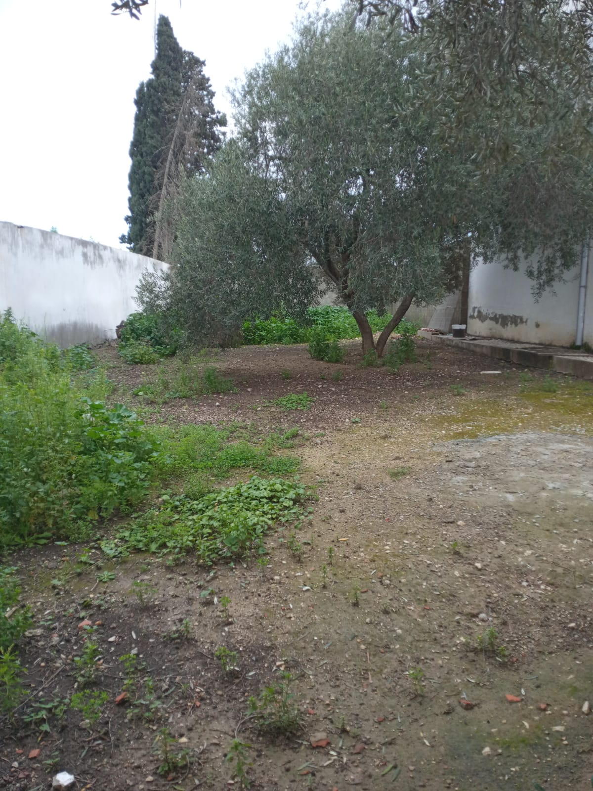 La Soukra La Soukra Terrain Terrain nu La soukra vnt ter 342m2