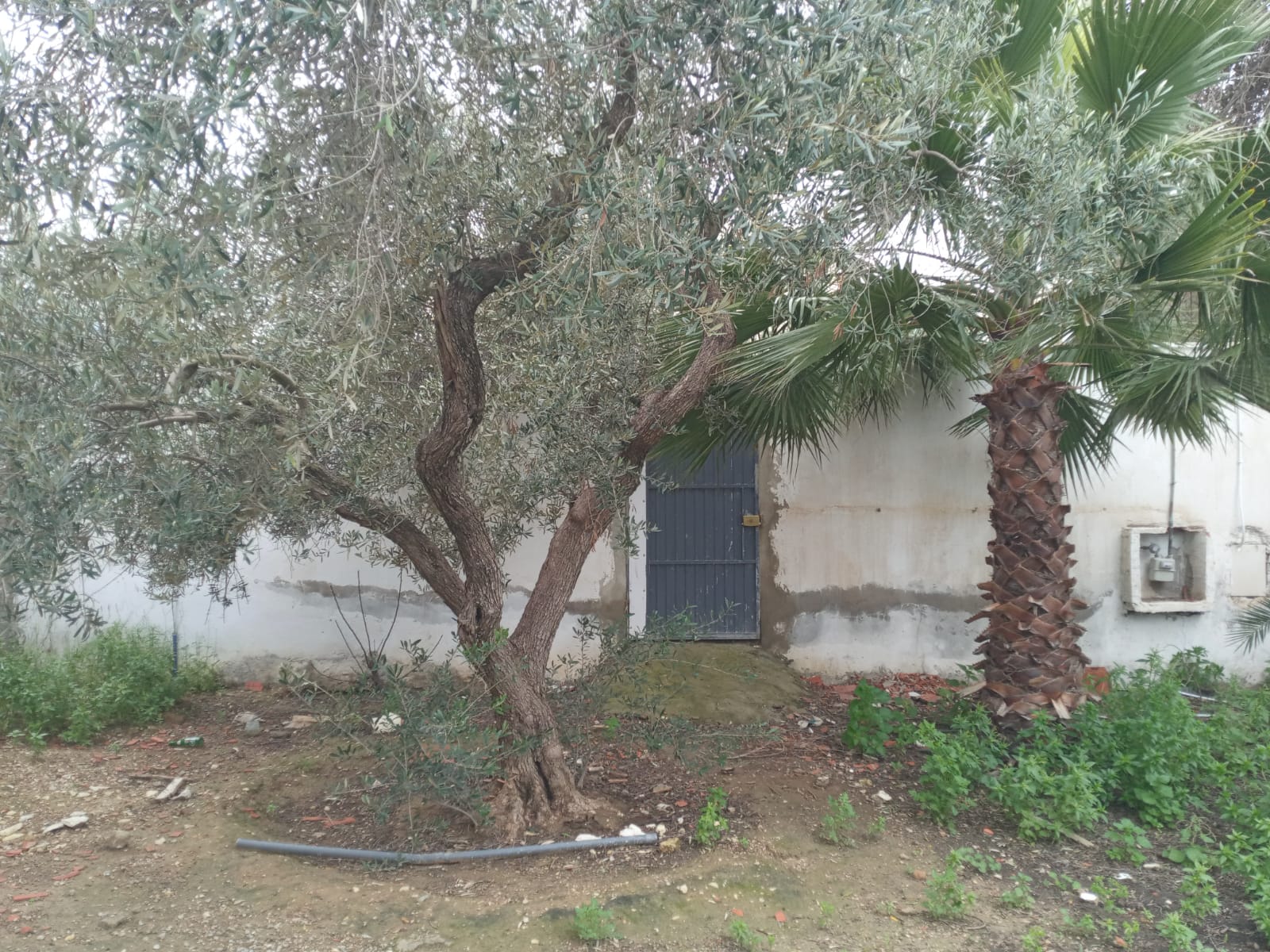 La Soukra La Soukra Terrain Terrain nu La soukra vnt ter 342m2
