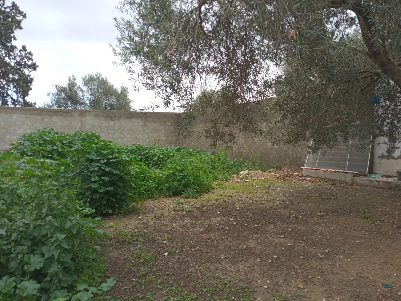 La Soukra La Soukra Terrain Terrain nu La soukra vnt ter 342m2