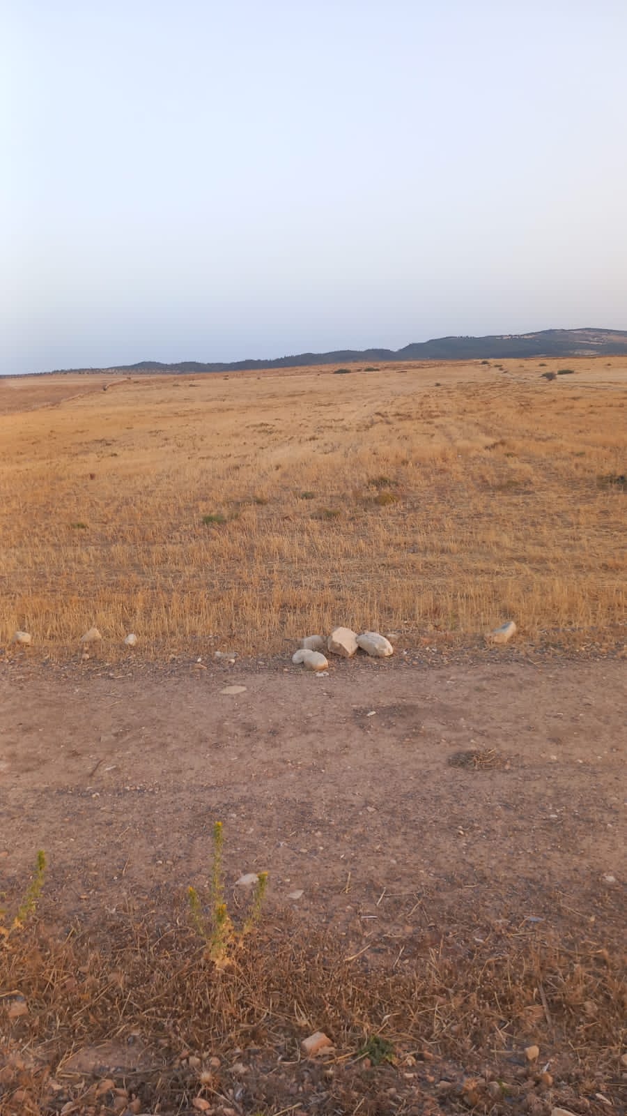 Mejez El Bab Mejez El Bab Terrain Terrain agricole 40 hectares a mejez el bab