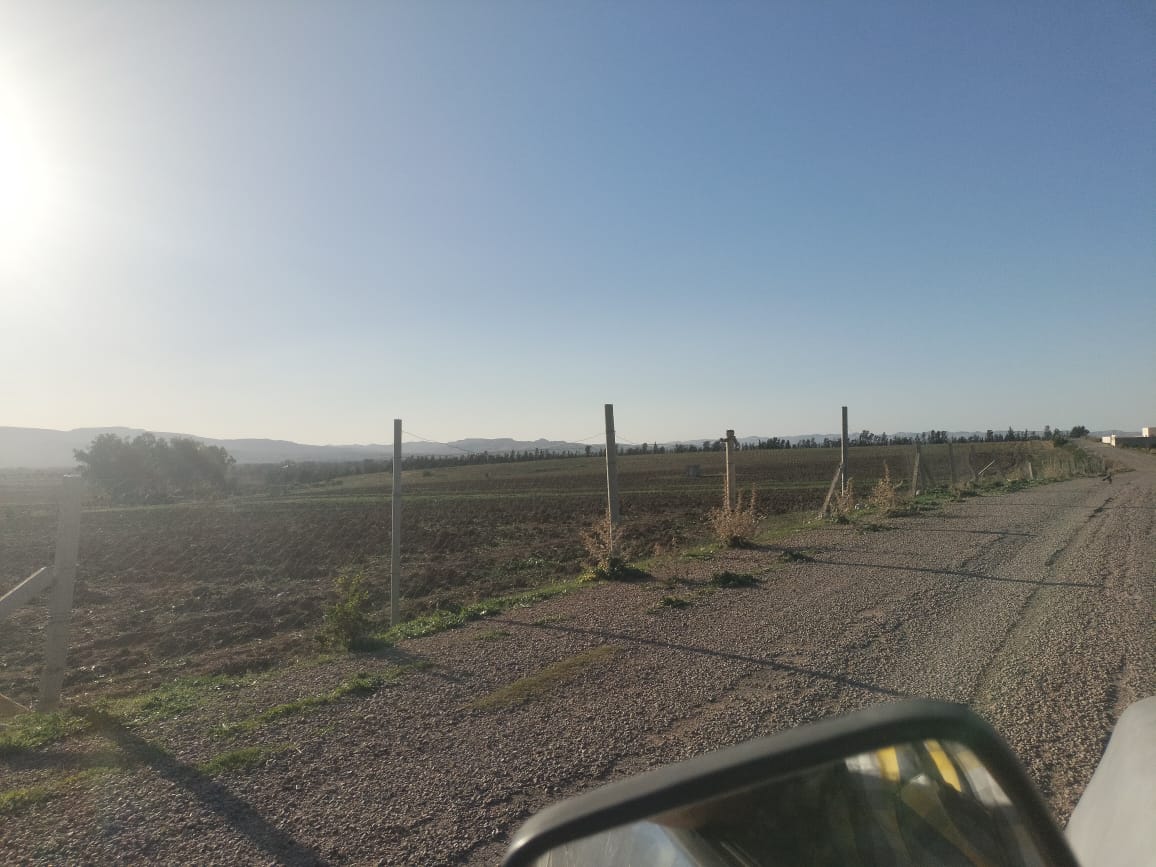 Siliana Sud Siliana Terrain Terrain agricole 80 hectares a siliana
