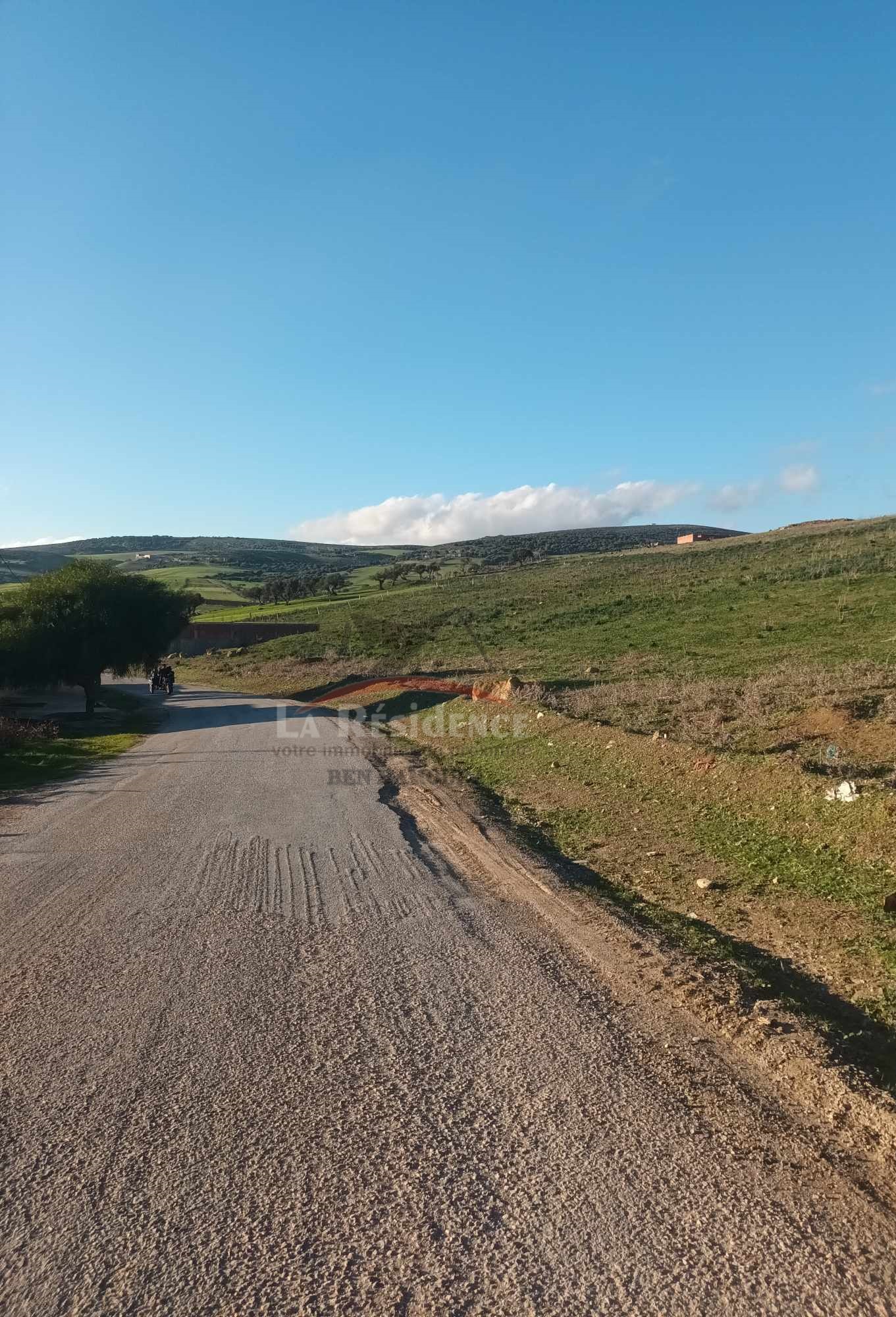 Bizerte Nord Bizerte Terrain Terrain nu Terrain  beni meselem bizerte