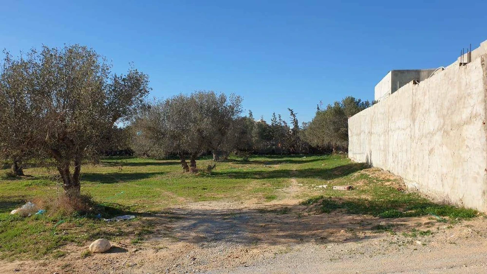 Hammamet Sidi Hmed Terrain Terrain nu Terrain de 800m2  hammamet sud  besbessia