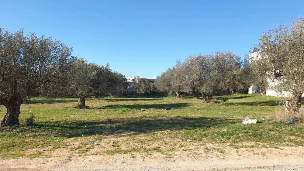 Hammamet Sidi Hmed Terrain Terrain nu Terrain de 800m2  hammamet sud  besbessia