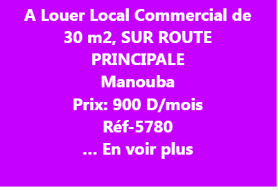 Mannouba La Mannouba Location Appart. 2 pices Commercial
