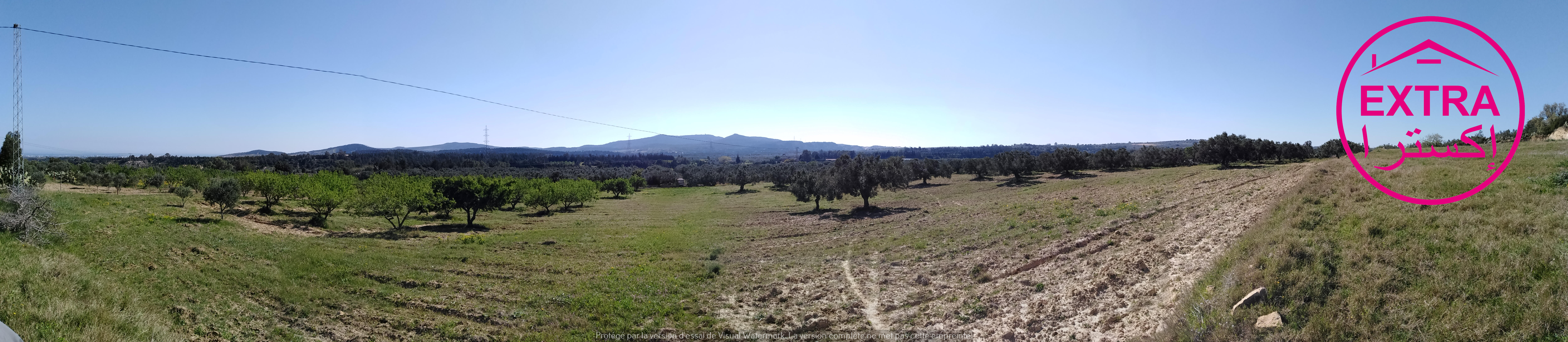 Nabeul Henchir El Haouaria Terrain Terrain agricole 10eme  campagne  el haouaria de nabeul