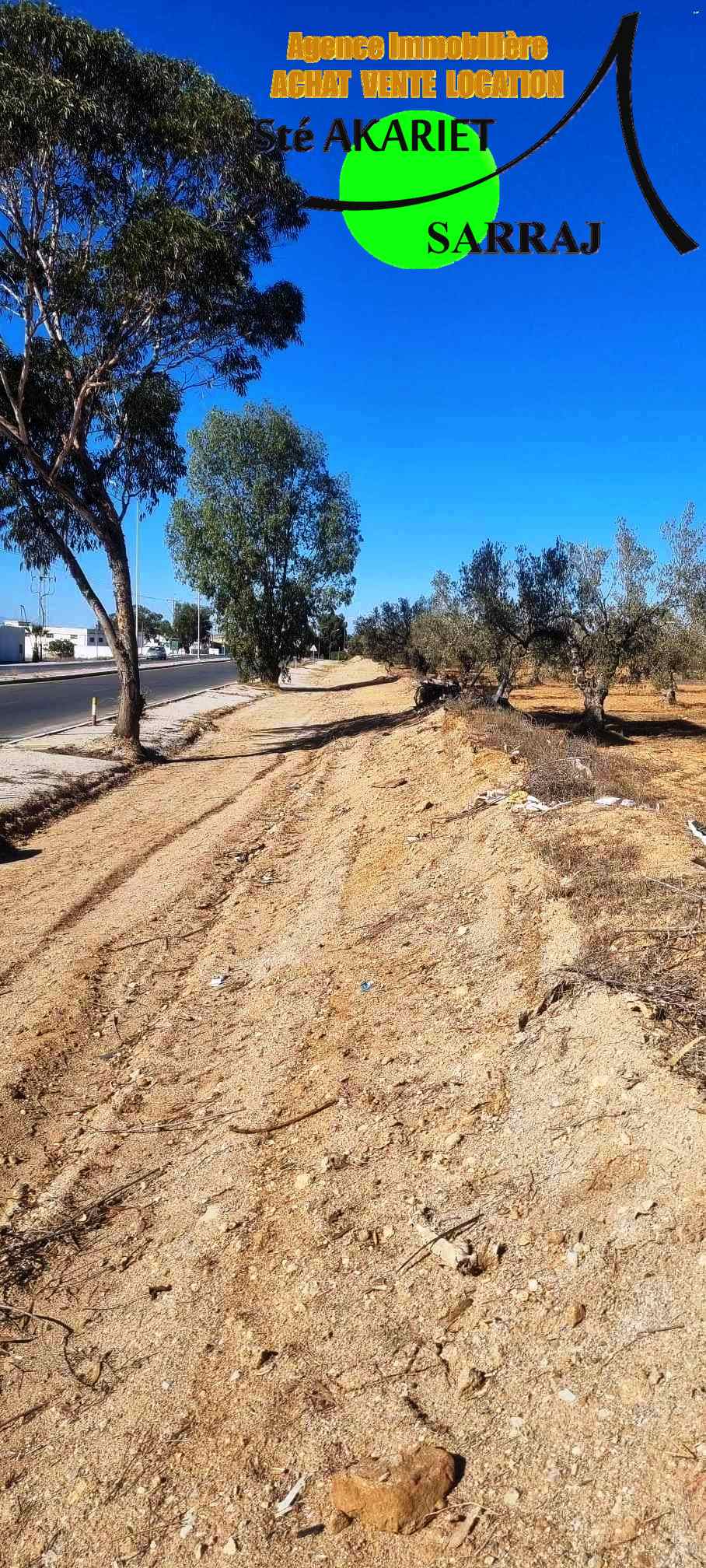 Sidi Bou Ali Sidi Bou Ali Terrain Terrain agricole Deux terrains 2000m et 2528m prs mall of sousse