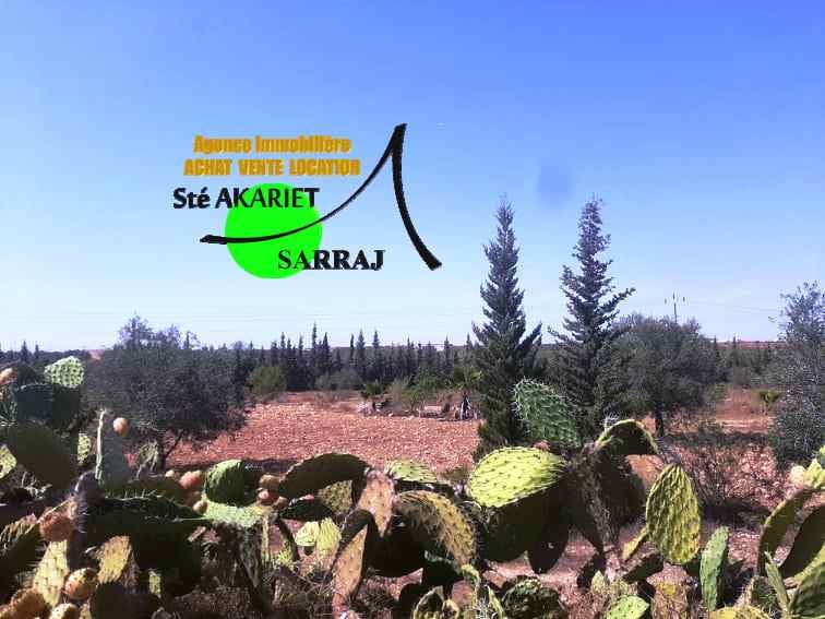 Sidi Bou Ali Sidi Bou Ali Terrain Terrain agricole Deux terrains clotur  sidi bouali vers knana