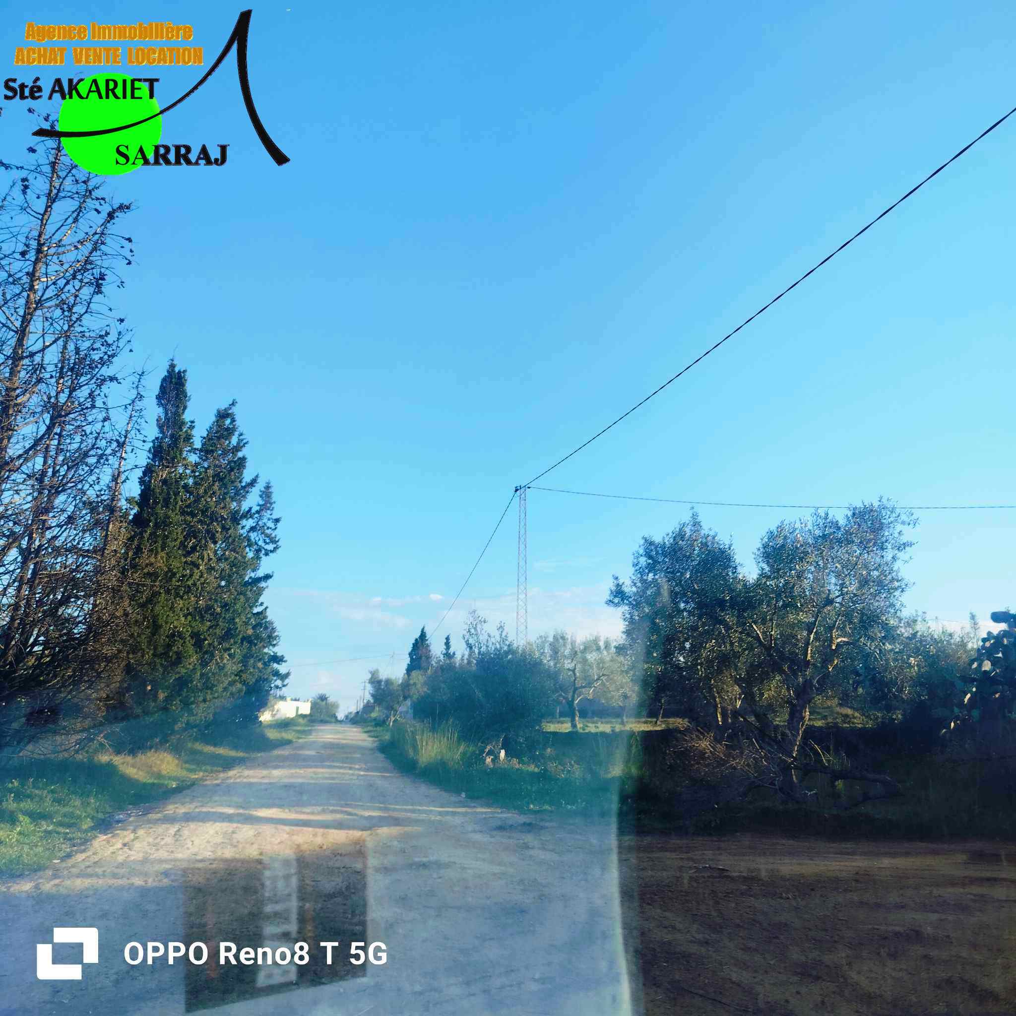 Akouda Chatt Meriem Terrain Terrain agricole Terrain 1324m plant 12 arbres d'oliviers  fokaia