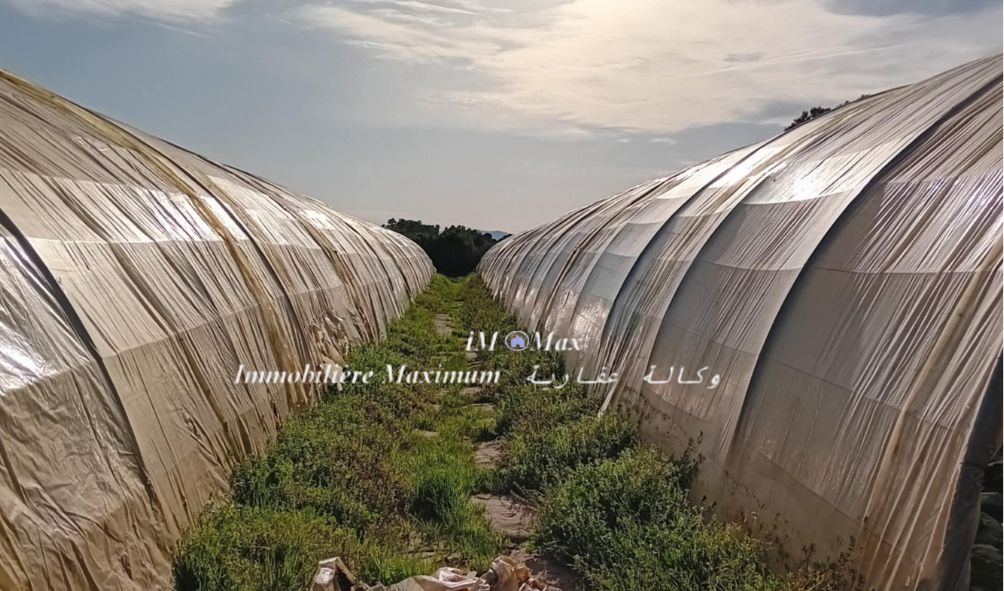 Soliman Soliman Terrain Terrain agricole Ferme 2h avec sondage et lectricit  soliman