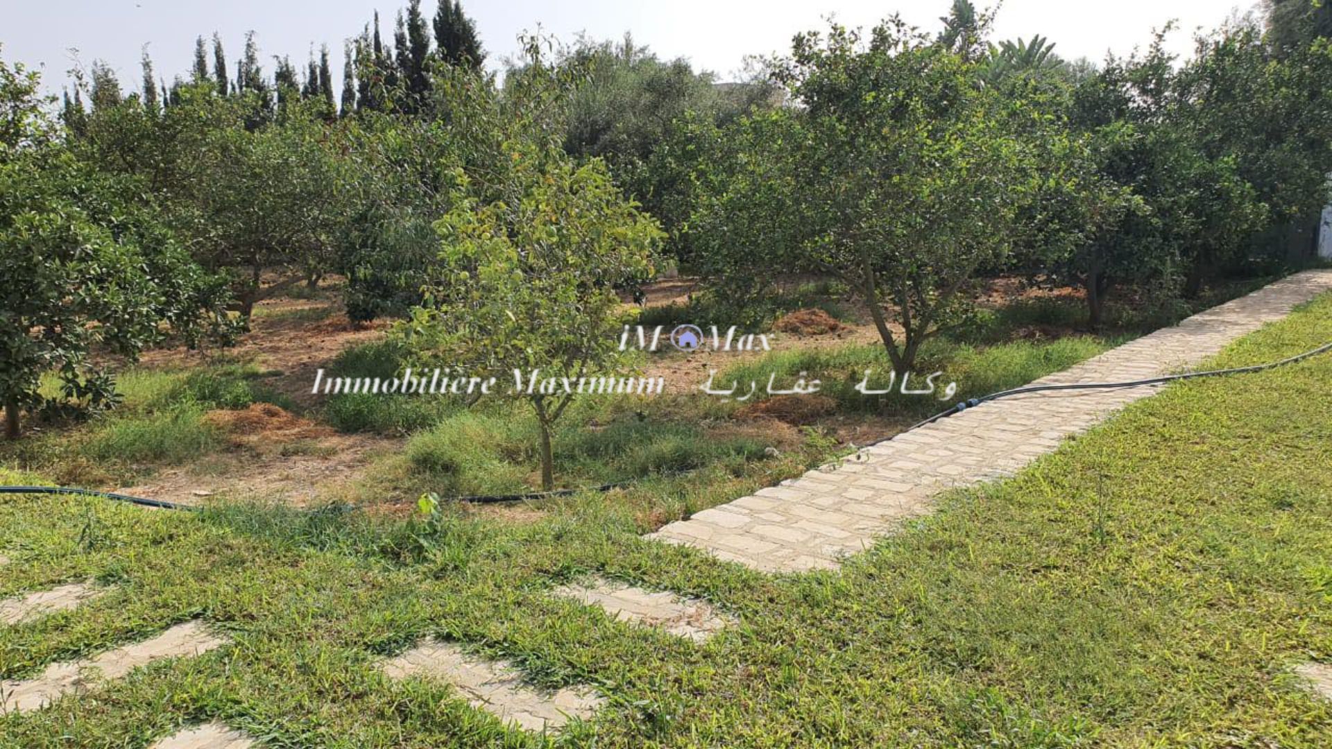 Hammamet Hammamet Terrain Terrain agricole Terrain 1127m  5mn de la marina