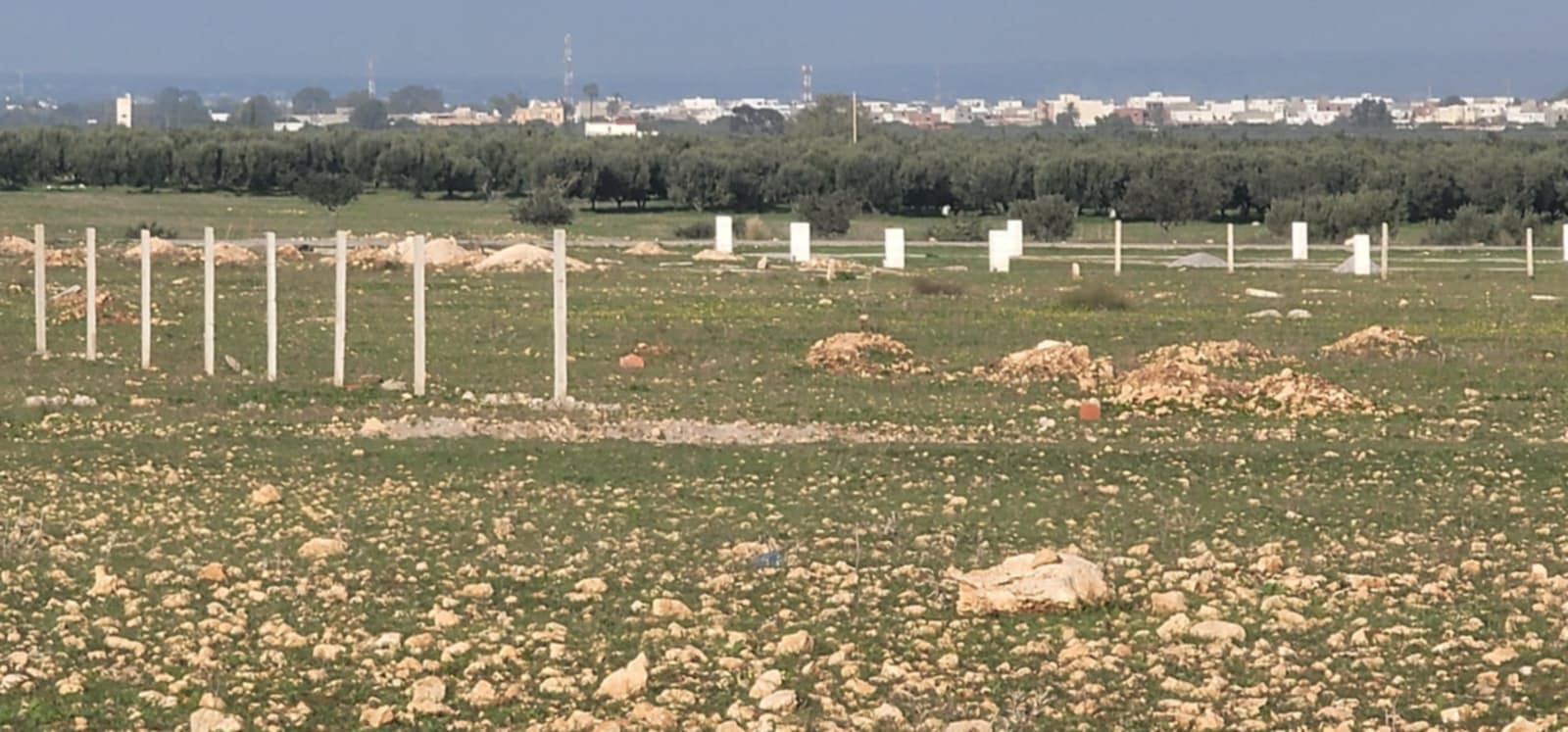 Bou Ficha Bou Ficha Terrain Terrain nu Terrain titr de 500m2