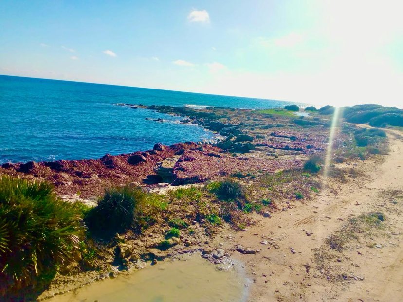 Kelibia Kerkouane Terrain Terrain nu Terrain pied dans l'eau