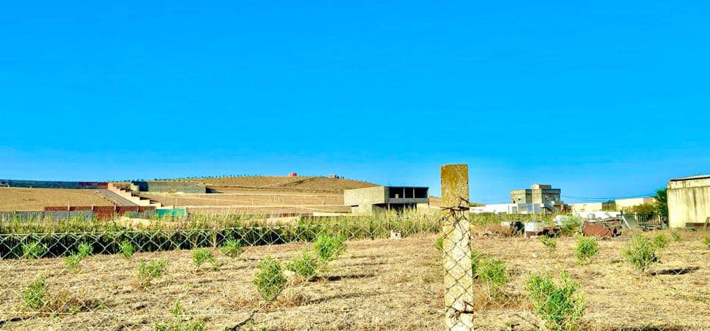 Sidi Thabet Sidi Thabet Terrain Terrain nu Terrain nu titr  sidi thabet