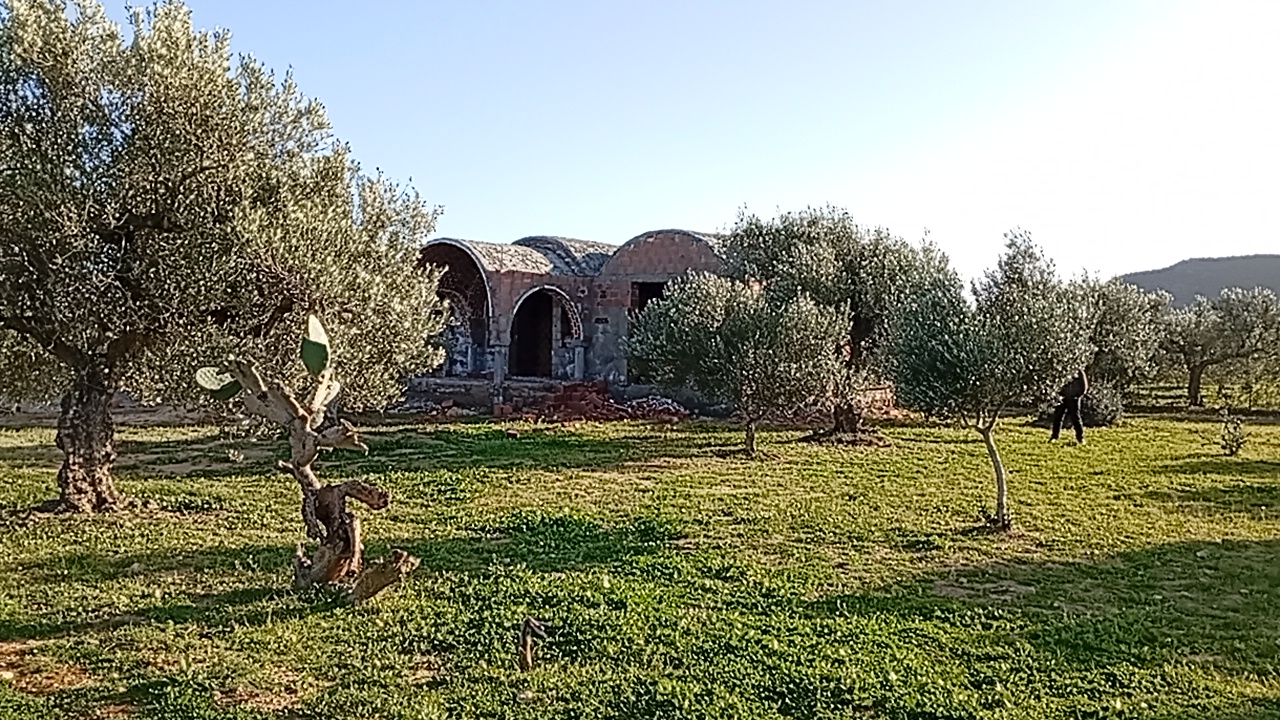 Bou Ficha Sidi Khelifa Vente Maisons Partenaire pour achever une maison contre benefice
