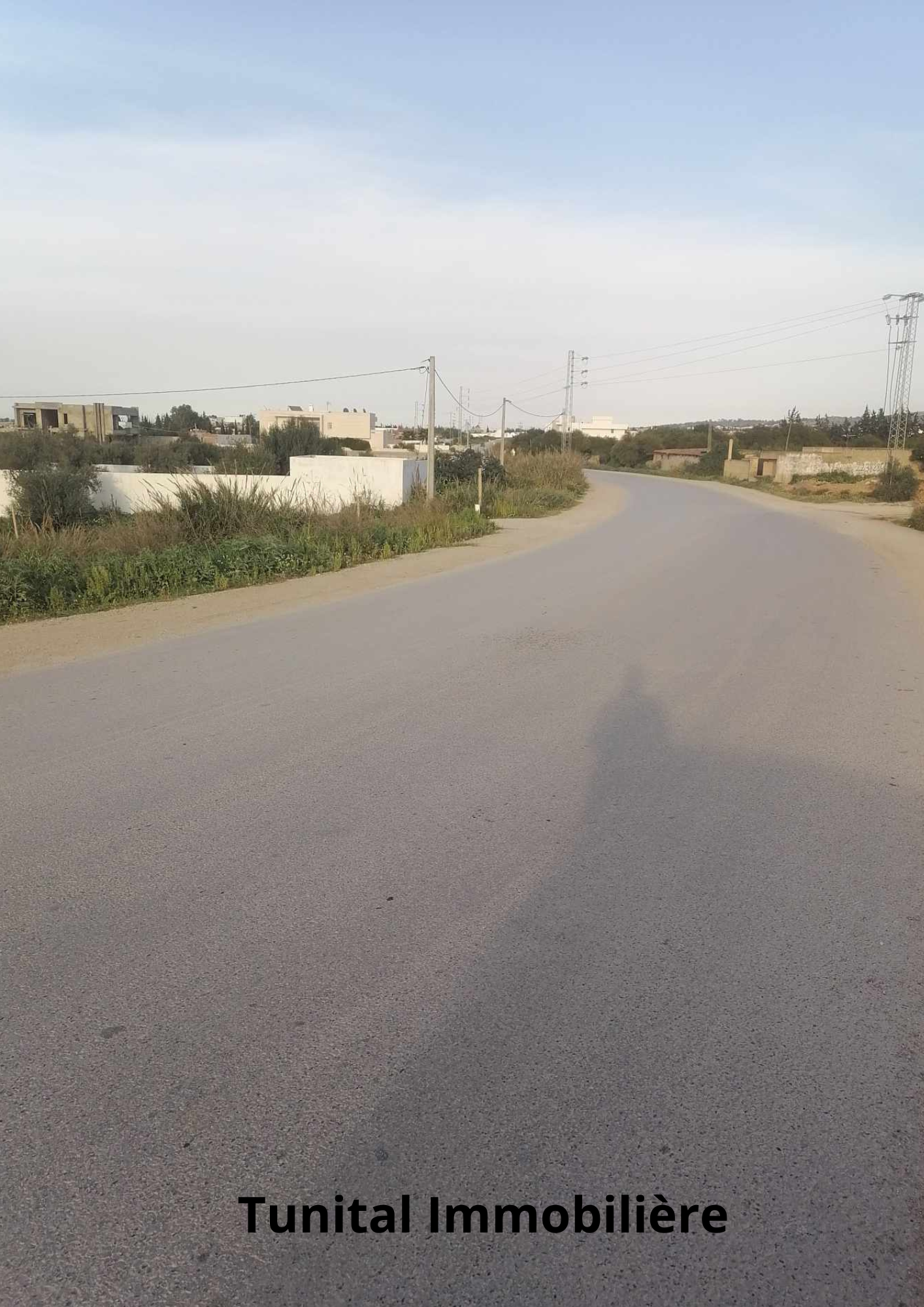 Sidi Thabet Cebalet Ben Ammar Vente Autre Route de bizerte sidi younes