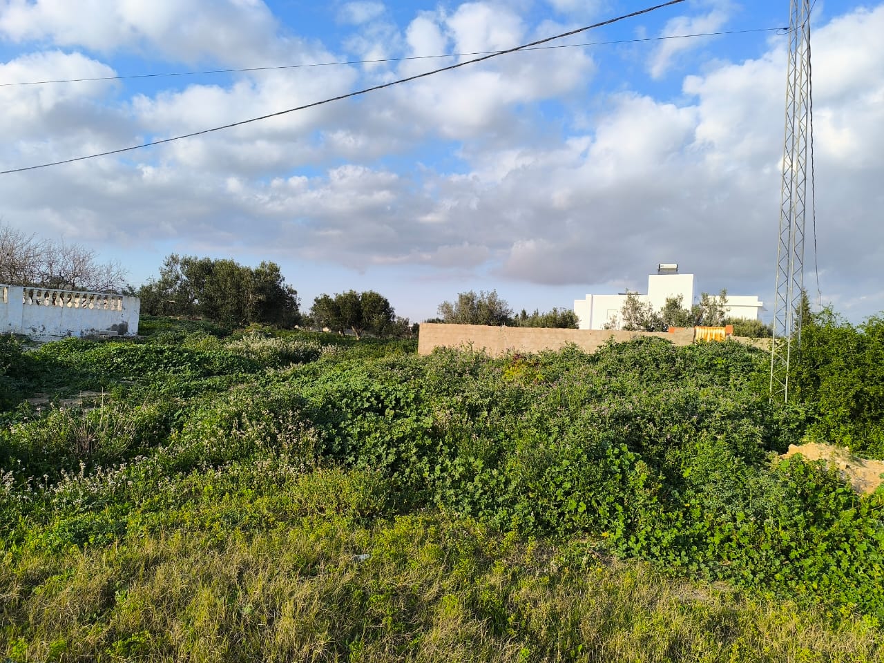 Hammamet Sidi Hmed Vente Maisons Terrain d'exception avec maison arabe  restaurer
