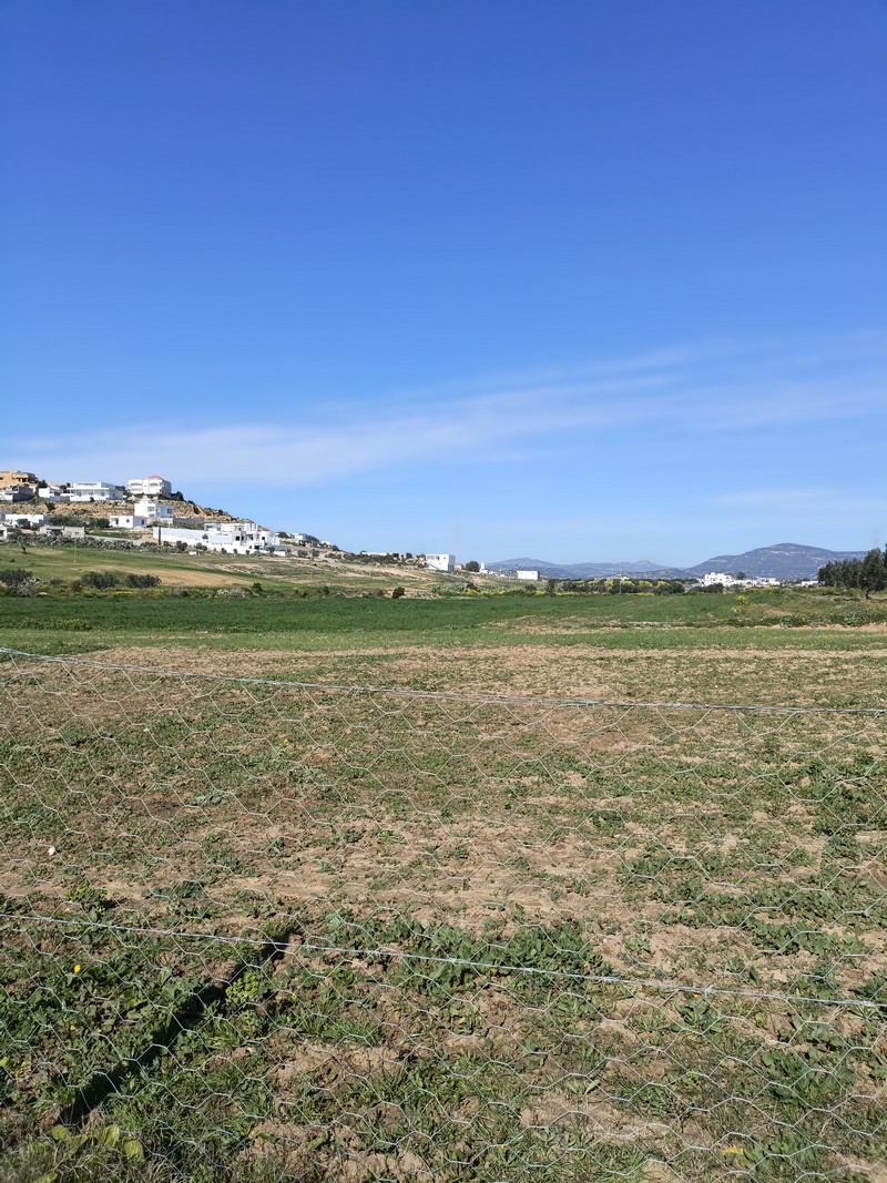 Hammamet Hammamet Terrain Terrain nu Av terrain 1680m  monchar