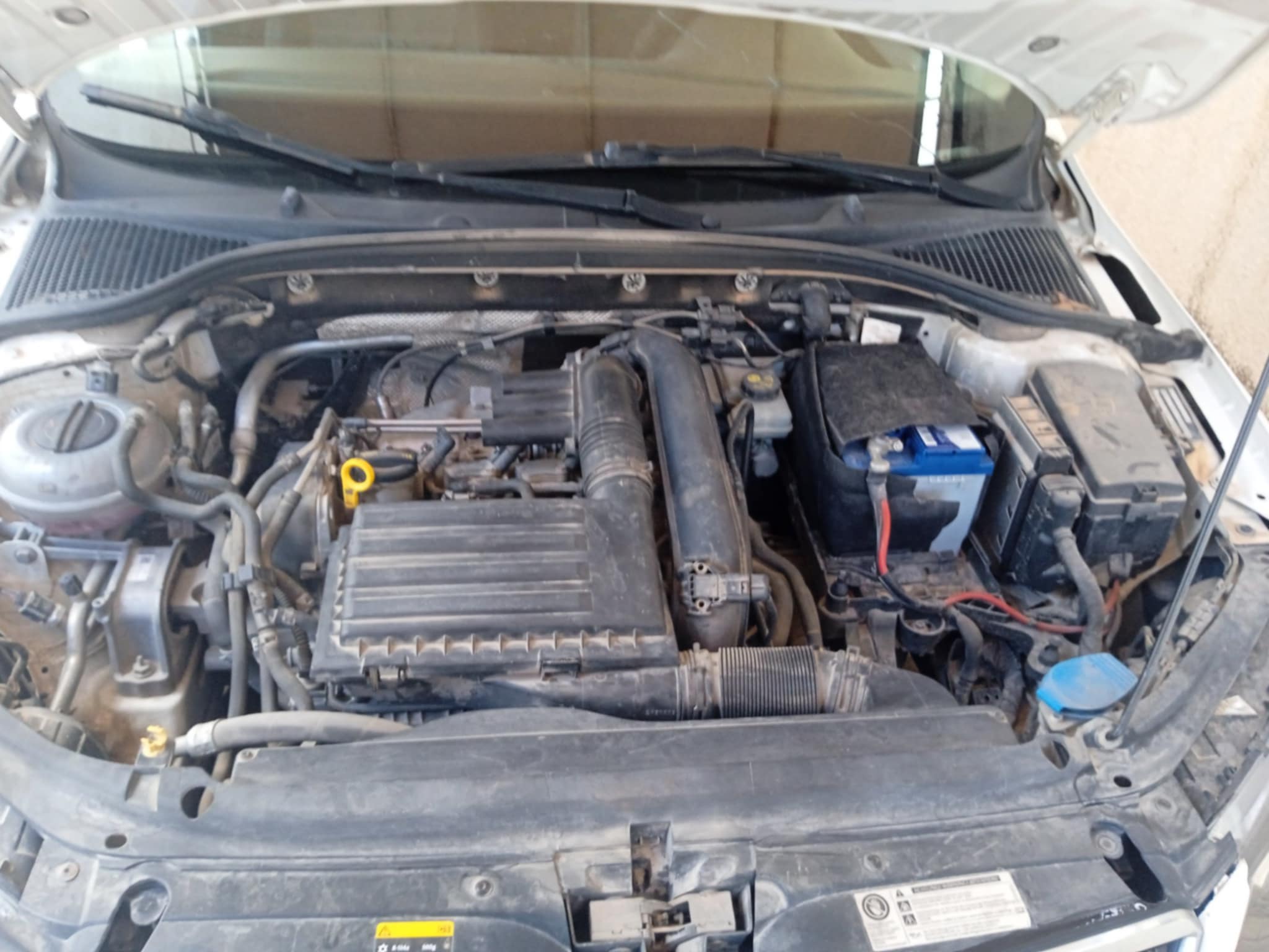 Cite El Khadra Cite Oplympique Skoda Octavia Skoda octavia
