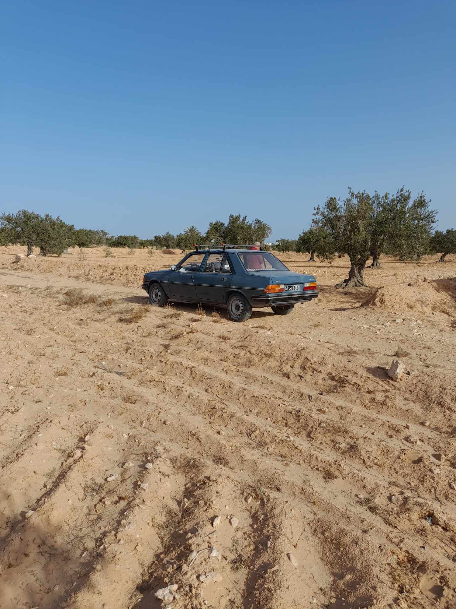 Djerba - Midoun El May Terrain Terrain agricole Terrain 3 822 m2 dis ben messaoud 4175 el may