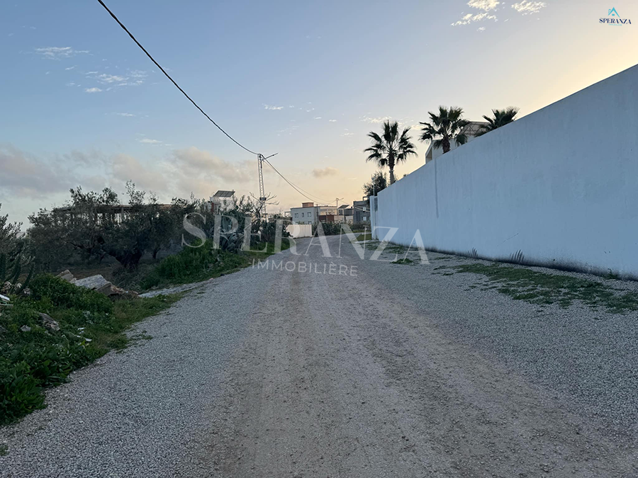 Hammamet Chaabet El Mrezga Vente Autre Terrain zoo