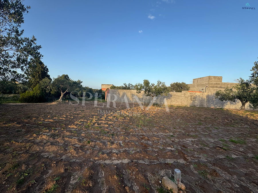 Hammamet Chaabet El Mrezga Vente Autre Terrain amell