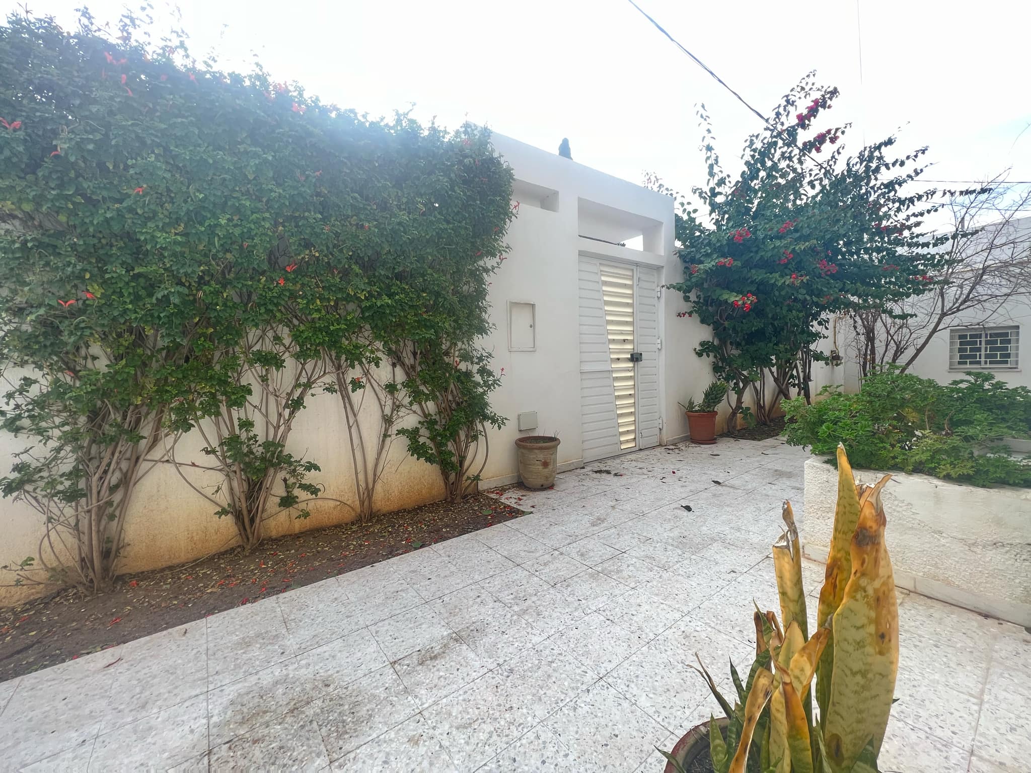 Megrine Megrine Jaouhara Location Maisons Etage de villa