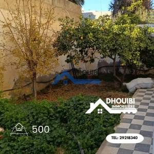 Kairouan Nord Cite Okba Vente Maisons Villa de luxe de 500 m a  a ref163a