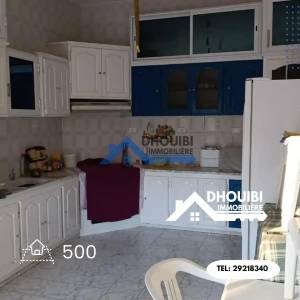 Kairouan Nord Cite Okba Vente Maisons Villa de luxe de 500 m a  a ref163a