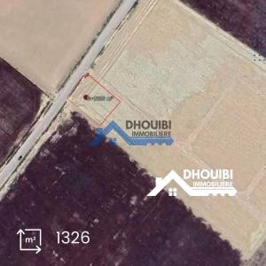 Kairouan Nord Cite Okba Vente Surfaces Terrain dinvestissement stratgique ref158a