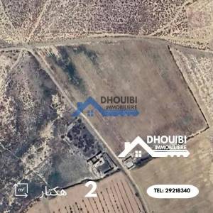 Kairouan Nord Cite Okba Vente Surfaces Terrain agricole 2 hectares a  a ref154a