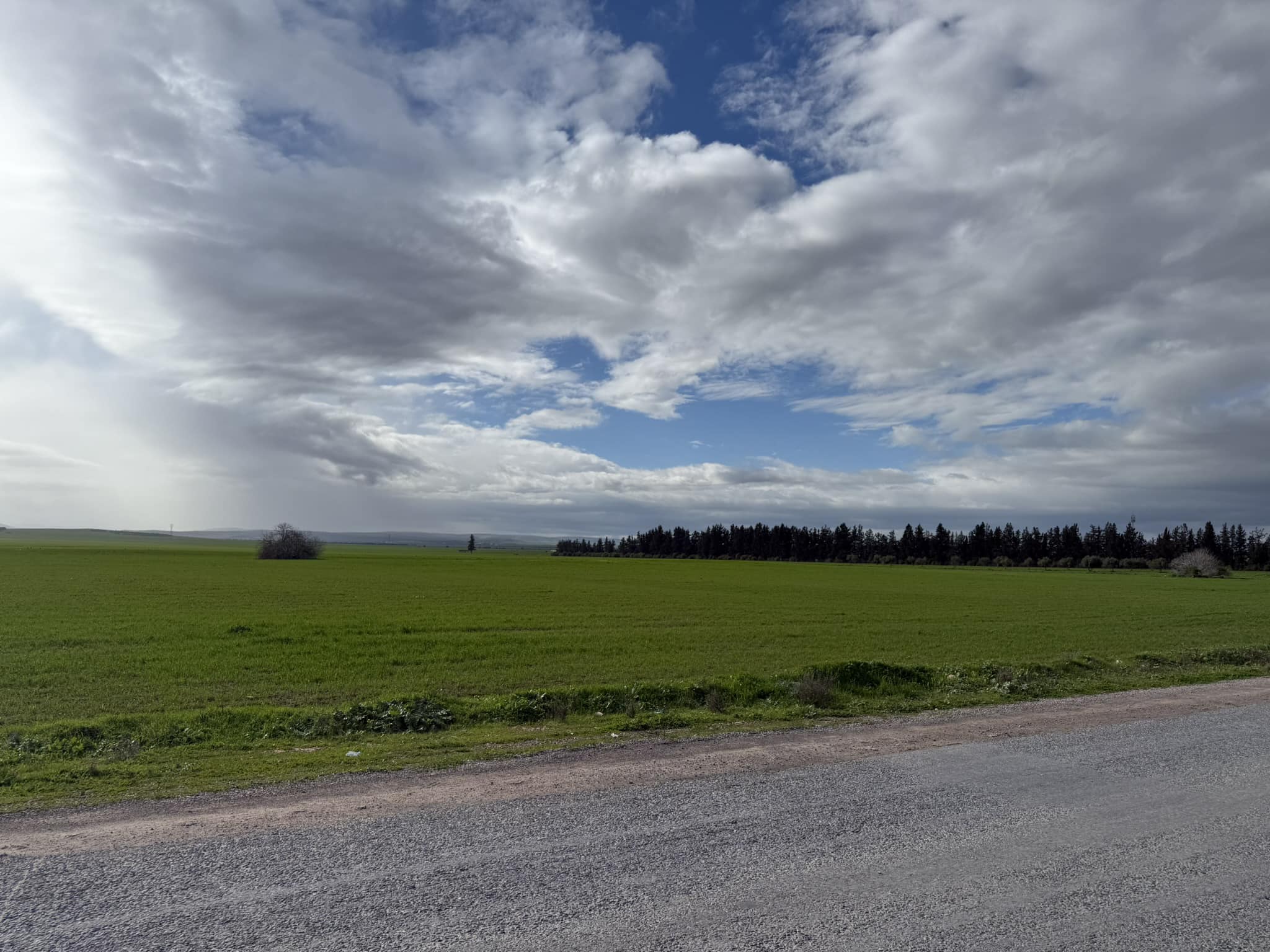 Mohamadia Mohamadia Terrain Terrain agricole Terrain mhamdia