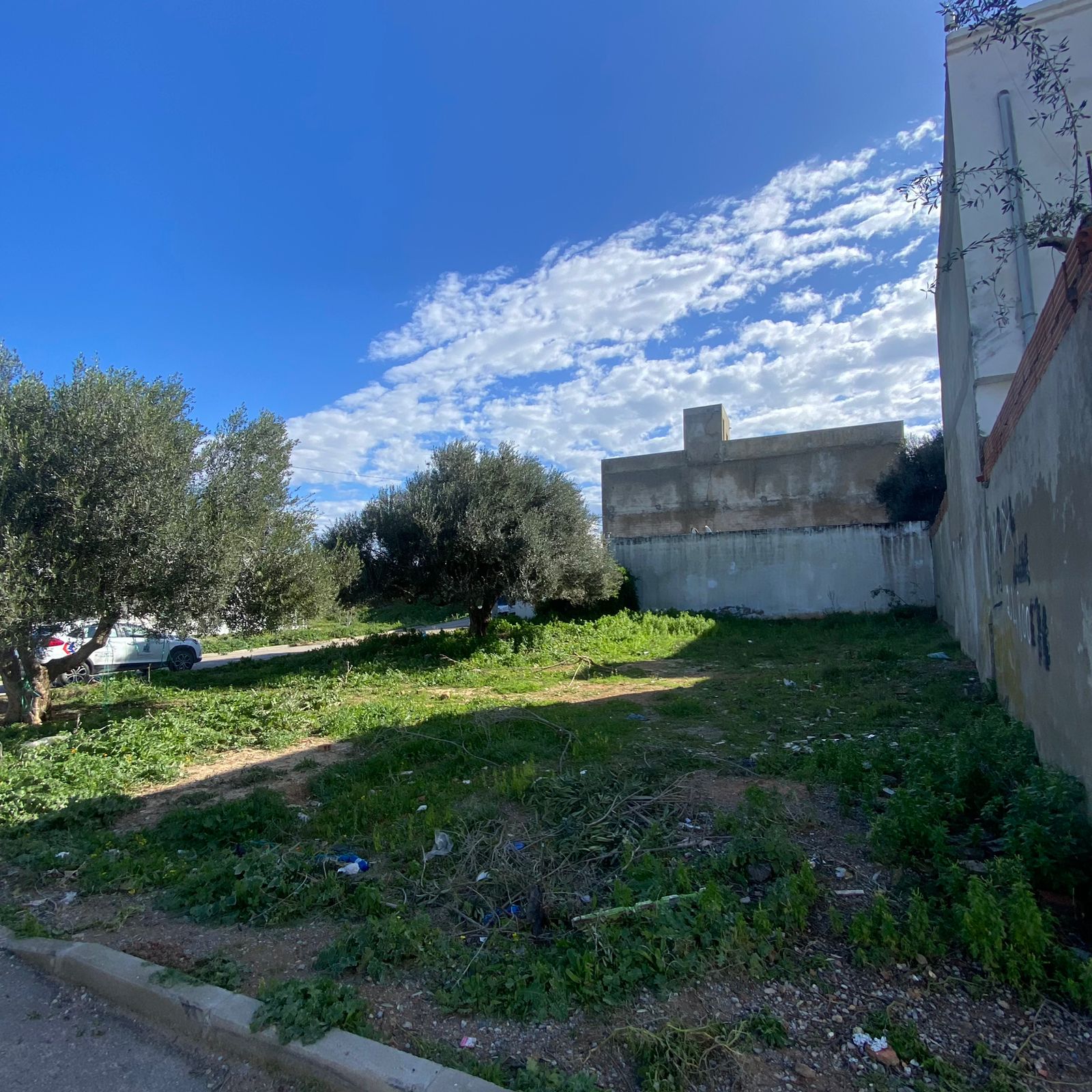 Hammamet Barraket Essahel Terrain Terrain nu Terrain  hammamet opportunit