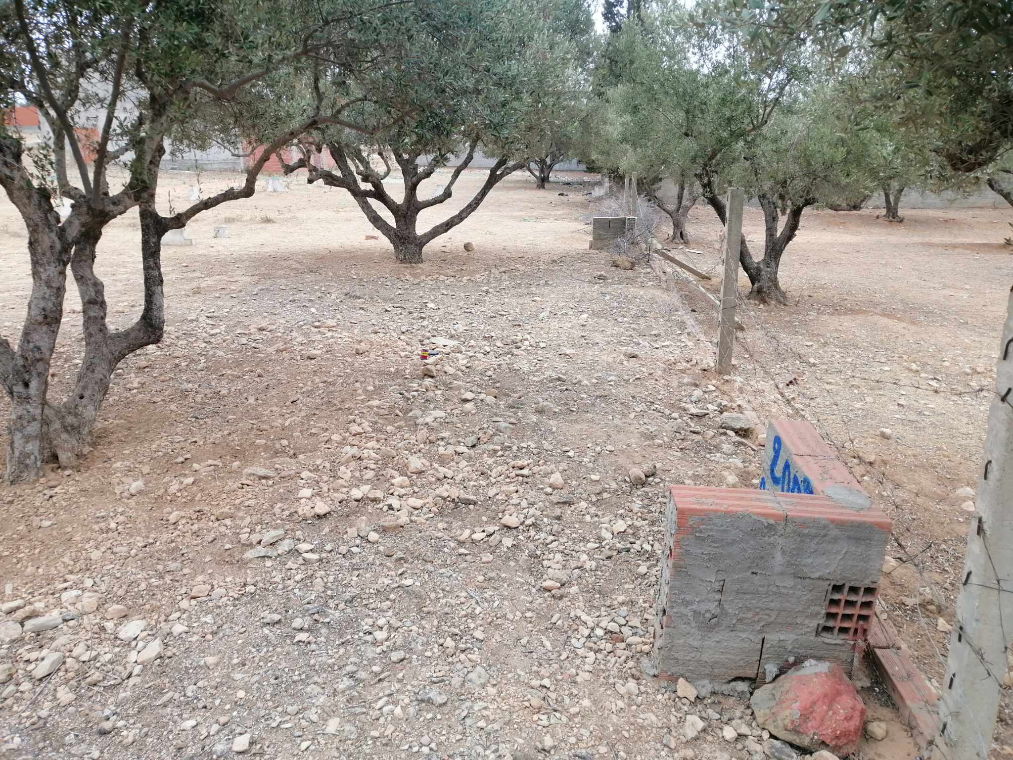 Oued Ellil Oued Ellil Terrain Terrain nu Terrain bonne ocasion