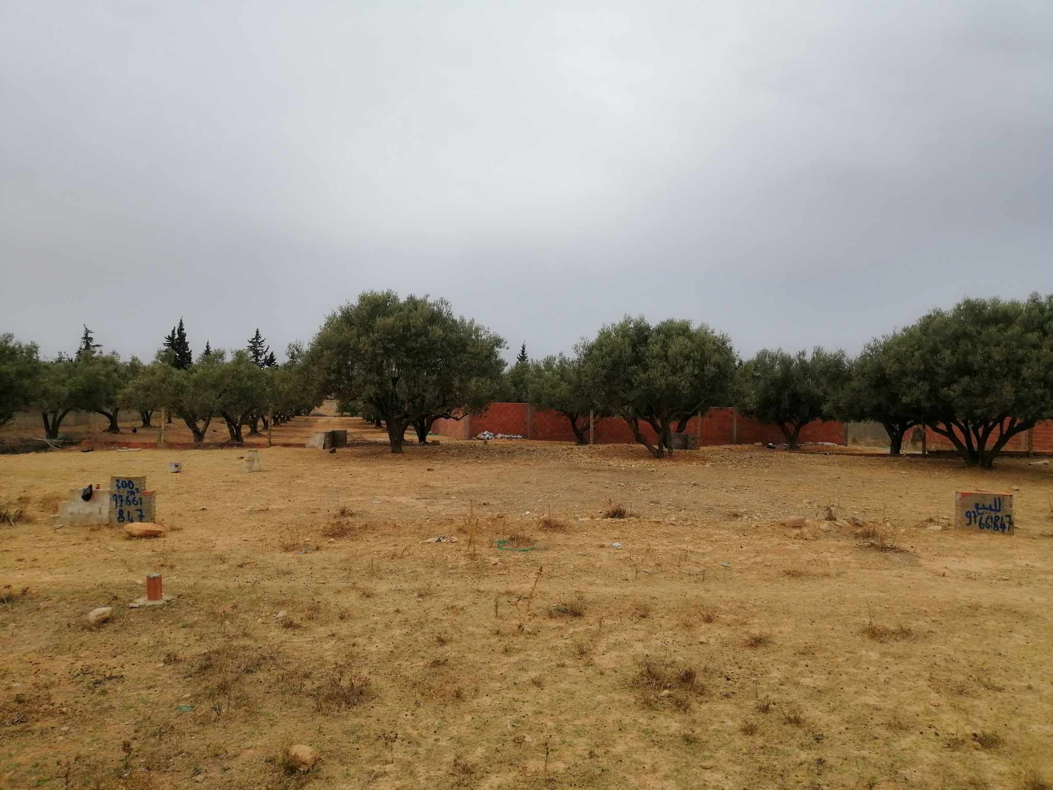 Oued Ellil Oued Ellil Terrain Terrain nu Terrain bonne ocasion
