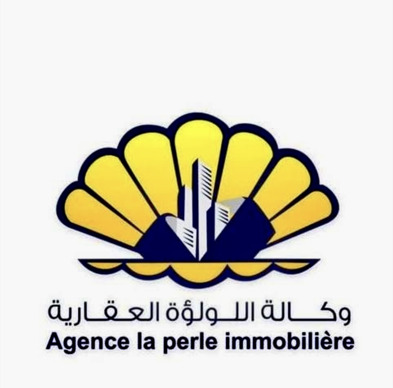 Remada El Maghni Terrain Terrain agricole Tataouine meghni