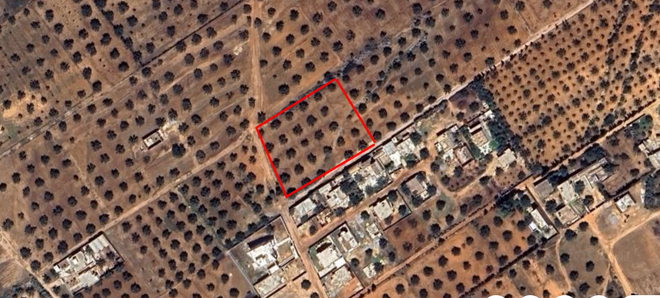 Hammamet Sidi Hmed Terrain Terrain agricole Terrain   sidi hammed  4070 mc 30 oliviers