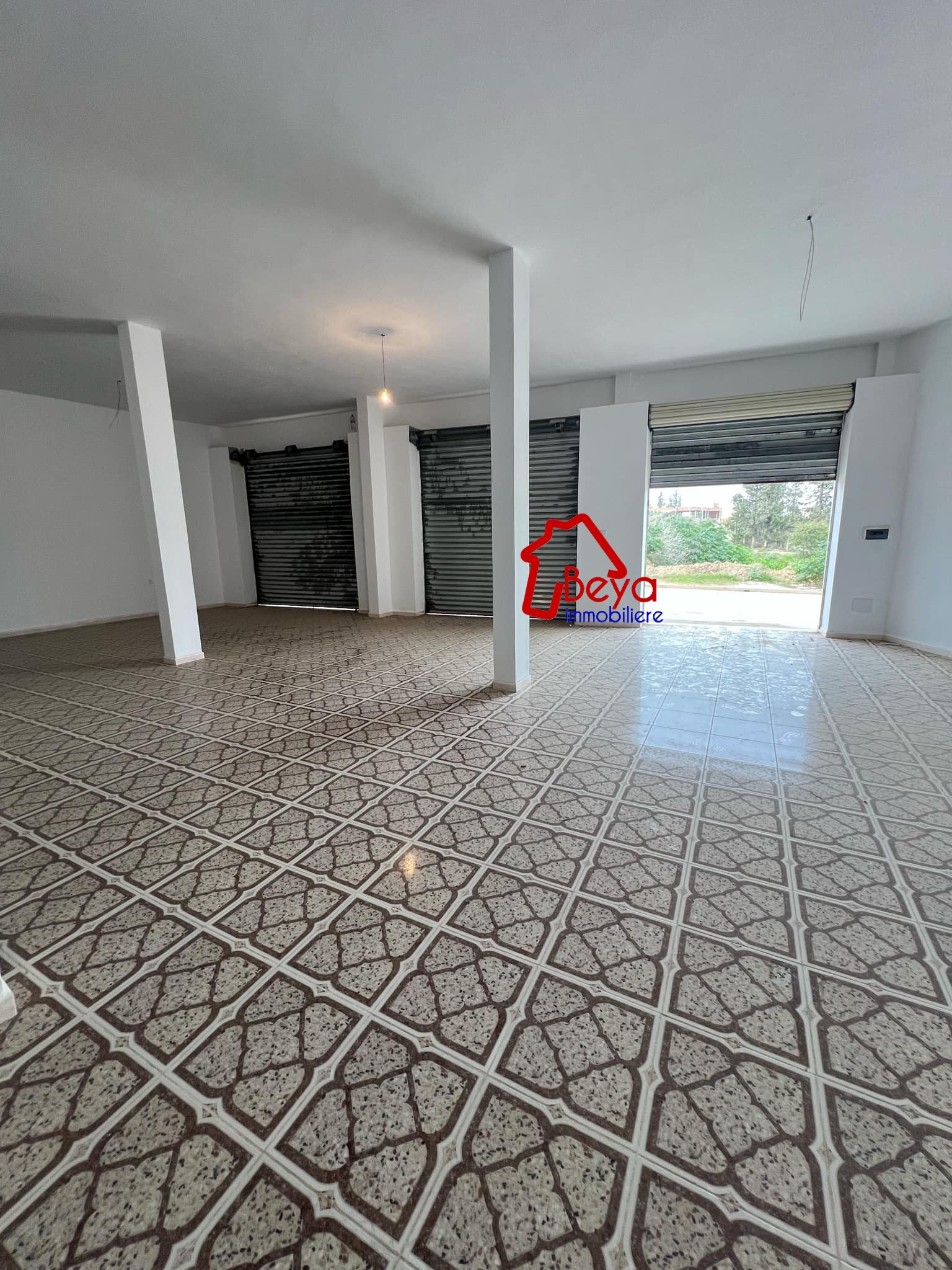 Zaghouan Zaghouan Vente Maisons Une villa avec 3 garages