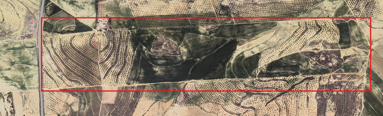 Bir Mcherga Ain El Asker Terrain Terrain agricole Terrain agricole 58 ha  20 min de tunis