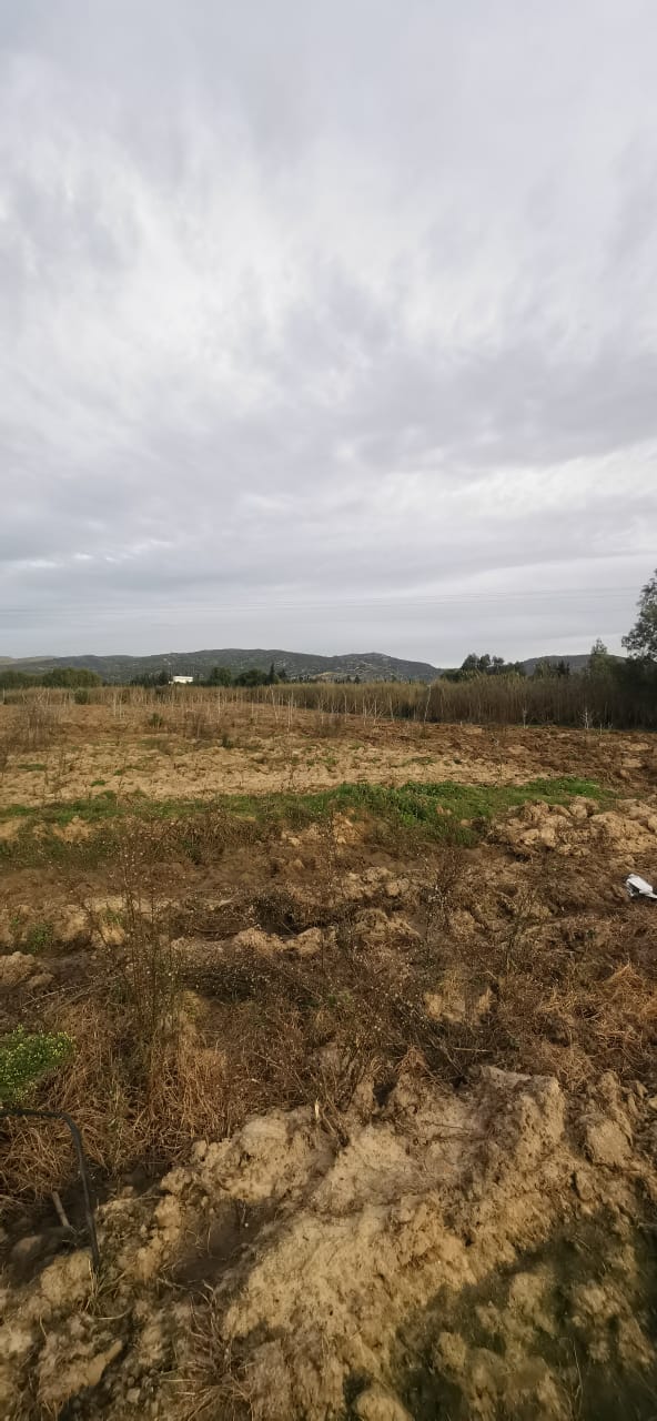Menzel Bouzelfa Menzel Bouzelfa Terrain Terrain agricole Ferme  menzel bouzelfa