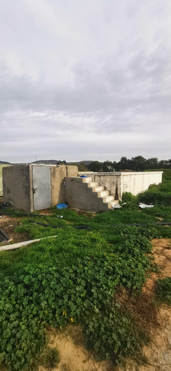 Menzel Bouzelfa Menzel Bouzelfa Terrain Terrain agricole Ferme  menzel bouzelfa