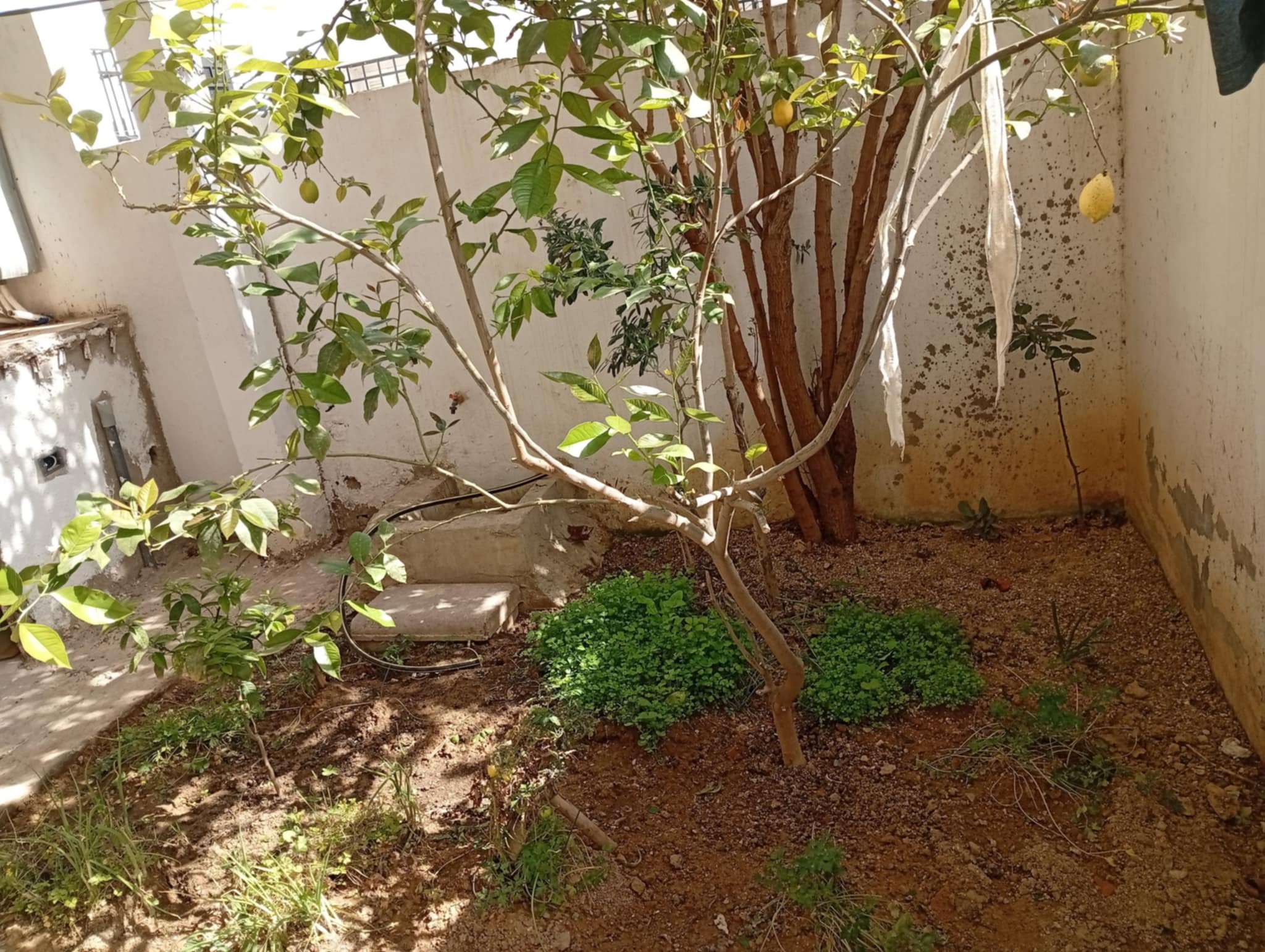 Raoued Cite Ennour Jaafar Location Maisons Maison pour famille  ou jeune couple  ou etudiants